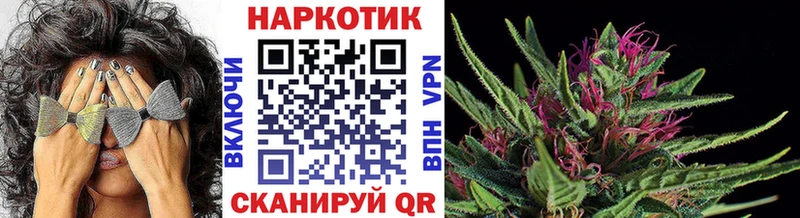 Виды наркотиков купить Перевоз А ПВП  Cocaine  Псилоцибиновые грибы  Метадон  мега ТОР  Амфетамин  Марихуана  Меф 