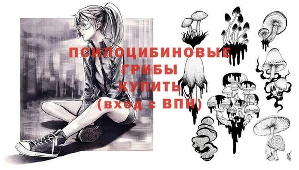 2c-b Алексин